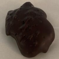 Dark Chocolate Turtle