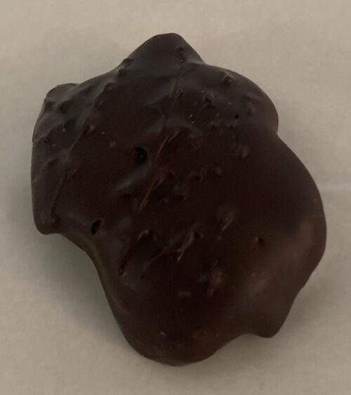 Dark Chocolate Turtle